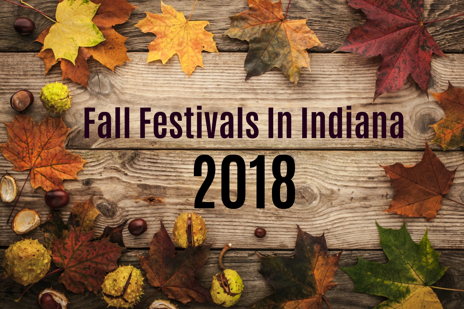 Top 10 Fall Festivals In Indiana for 2018Father and Us