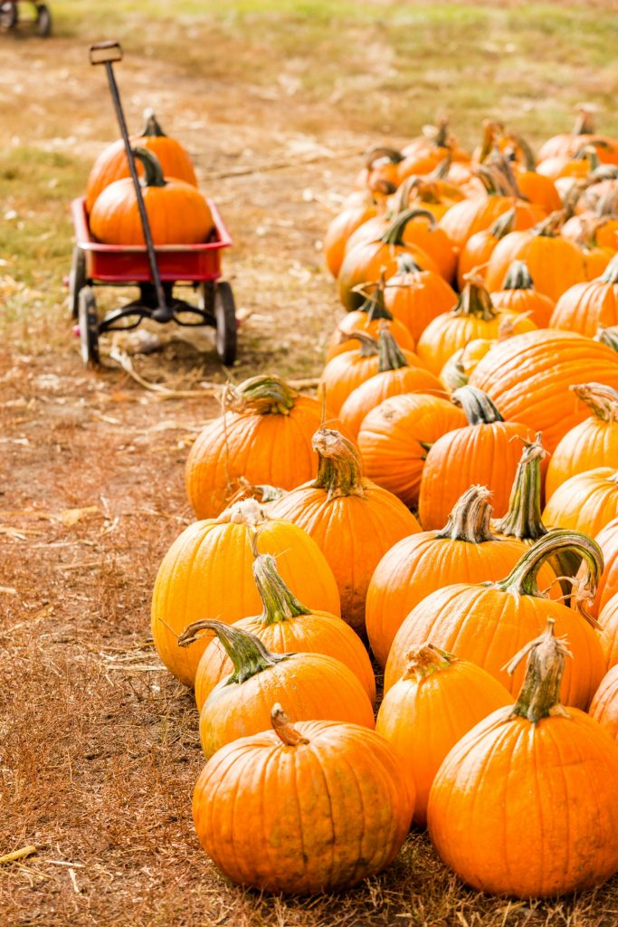 Top 10 Fall Festivals In Indiana for 2018Father and Us