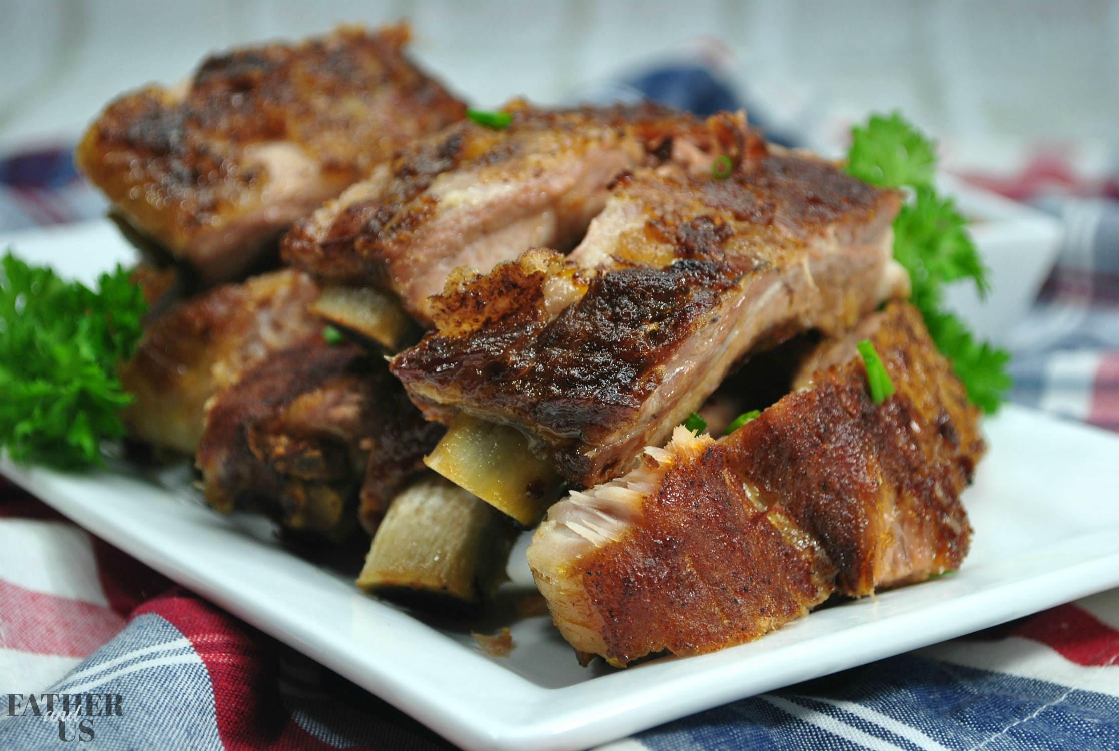 Dry Rub Instant Pot Ribs Recipe Father And Us,How To Get Rid Of Ants In The House Vinegar